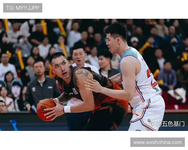 陶汉林：从篮球场上的拼搏到人生舞台的辉煌旅程